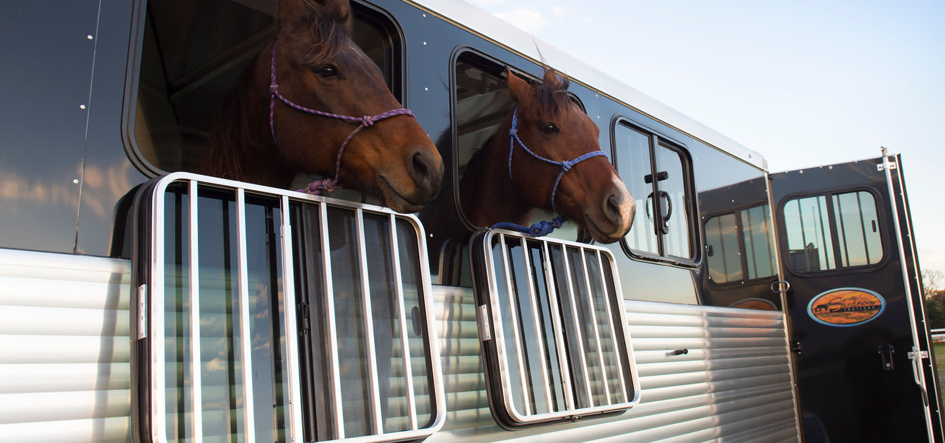 Horses in Horse Trailer Windows